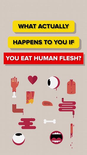 What actually happens to you if you eat human flesh? #ew #facts #human #brains | The Infographics Show