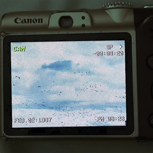 When you find those old videos and it feels like home.. #hunting #duckhunting #duckseason #goosehunt #gooseseason #divebombindustries #drakewaterfowl #fy #fypシ #fyp #fypシ゚viral #capcut