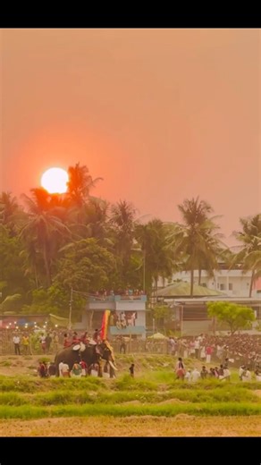 പാലക്കാടിന്റെ മനോഹരമായ കാഴ്ച✨💖 #palakkad #aana #aanapremi #kerala #trending #fyp #shorts #bhojpuri