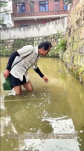 壁の穴から釣り出す細き竿：虫一匹が導くウナギの口