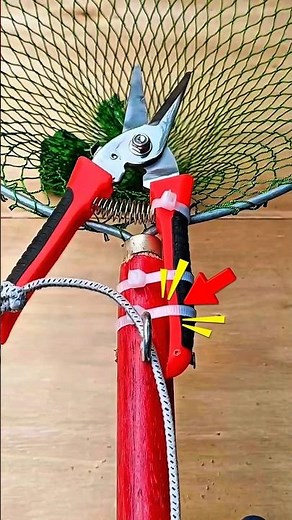 “A Magic Fruit Picker Made from Simple Materials! " #shorts #tricks