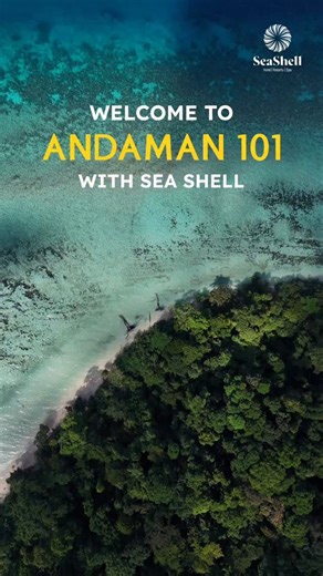 Seashell Hotels and Resorts on Instagram: "Hidden in plain sight… the Japanese bunkers of Andaman tell stories of a time long gone. ⏳🏝️ Watch this episode of Andaman 101 with Seashell and uncover a fascinating chapter of island history. Follow us for more such untold stories! ✨"