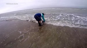 Shocking video shows turtle defecating plastic