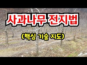 [The Pruning Principle for Saving Neglected Apple Trees] 2026 #AppleTreePruning #AppleTreePruning