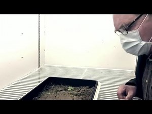 142-year-old science experiment yields surprising results at Michigan State University