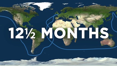 This Is the Fastest Way to Travel Around the World
