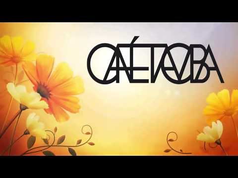 Cafe Tacuba - Las Flores CON LETRA