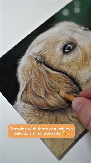 Why Pitt Pastel Pencils are my Favorites!