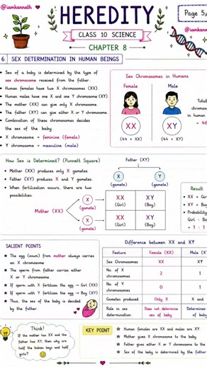🧬 HEREDITY – COMPLETE CHAPTER 8 NOTES 📚Class 10 Science ke liye