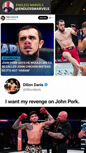 Dillon Danis Wants to Fight Magomed Zaynukov 🔥 #ufc