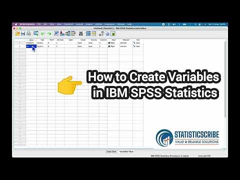 IBM SPSS Statistics Data Editor Window Explained_Statisticscribe