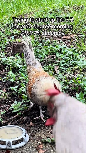 Jessica White on Reels