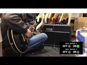 Burny ( FERNANDES ) RLC55-75S_SUSTAINER