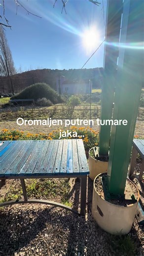 #istina #rom #croatia #pula