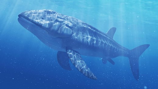 TOP 7 des plus grands poissons préhistoriques, des terreurs marines de dizaines de mètres (VIDÉO)