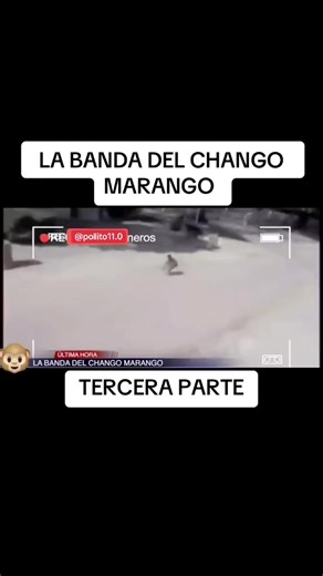 El robo de la banda del chango marango