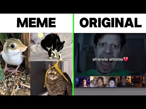 Ahlelele Ahlelas Meme vs Original Sound And Video