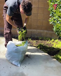 50K views · 109 reactions | An old lady was touched to tears when saw how beautiful her yard became | Fabiosa Better World | Facebook