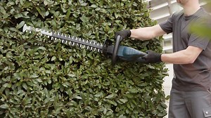 14 reactions | The NEW 18V Brushless Hedge Trimmer features an anti blocker feature so your blade won't get jammed reducing overall downtime, Try it out today! #BoschProfessional #BoschPowerTools #GoodBetterBosch #6YearGuarantee | Bosch Professional Power Tools and Accessories | Facebook