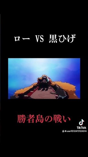 ワンピースハートの海賊団VS黒髭海賊団「勝者島」の戦い！！