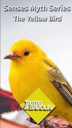 Mythologies: The Yellow Bird