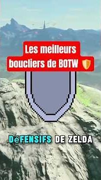 The best shields in BOTW!