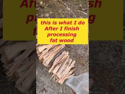 Processing fat wood to make fire starters #fatwood #firestarters