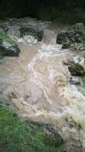 Top of creek water flow day 80