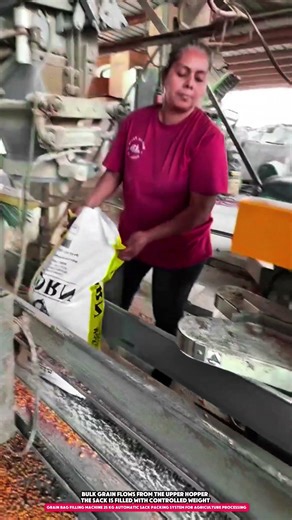 Grain Bag Filling Machine 25 kg Automatic Sack Packing System for Agriculture Processing