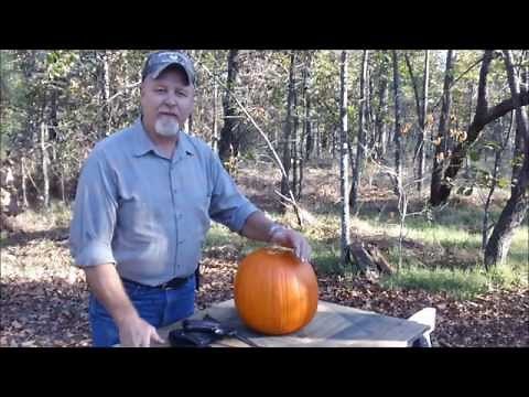 Shooting pumpkins with a 338-06