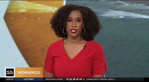 Search continues for driver in car-to-car shooting on 91 Freeway