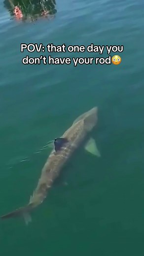 Travel-Friendly Mini Fishing Rod for Easy Angling