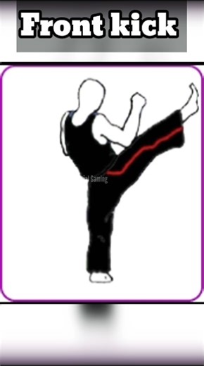 FRONT KICK DOMINATION 🔥 | Ultimate Kick Edit #frontkick