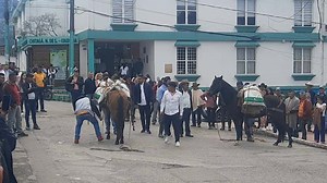 16K views · 184 reactions | #LoUltimo Se realiza el día del campesino en el municipio de Chitagá. | METRO TV | Facebook