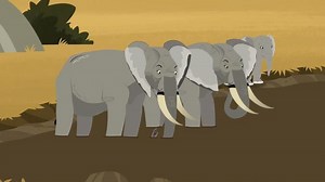 Wild Kratts - African Elephant: Livin Creature Style Video | PBS KIDS