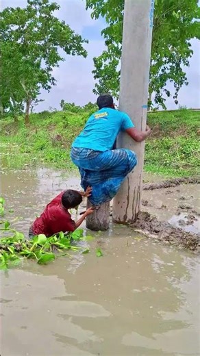 🌳💩 “Oops! Stuck on the Tree! You Won’t Believe 😱”