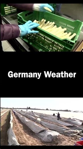 How hot is Germany in the summer?