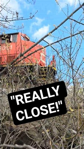 Real Close! #shorts,#spring #story #train
