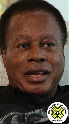 Wayne Shorter talks about "What jazz means..." #interview #jazzmusician #jazzmusic