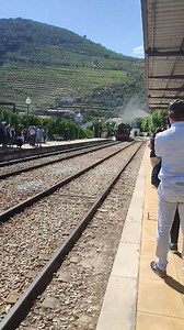 Pinhão, comboio histórico. 18-06-2022 Video: Fábio Gonçalves | Eu Adoro Portugal
