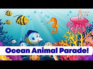 Learn All About Ocean Animals & Deep Sea Creatures | Ocean animals for Kids, Toddlers & Kindergarten