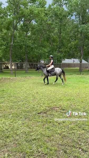 Tu primera experiencia montando a caballo