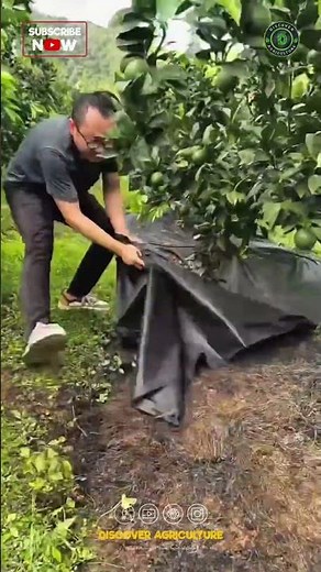 Amazing Mulching Sheet