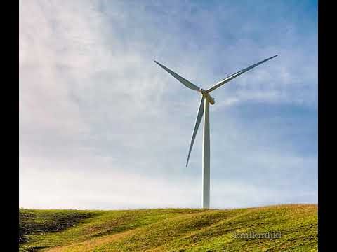 engineer turn off boowomp inhibitors