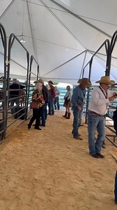 1.9K views · 32 reactions | Welcome to San Antonio, ladies!  #beefmasterbreeders | Strategy Cattle, LLC | Facebook