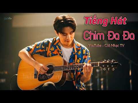 Tiếng Hát Chim Đa Đa - Bản phối 2026