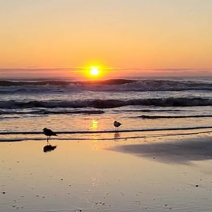25K views · 9.1K reactions | Good morning from St Augustine Beach, Florida ❤✌☕ | First Light InSite | Facebook