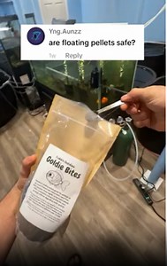 Are Floating Pellets Safe for Fish? Everything You Need to Know