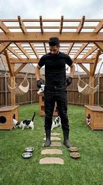 ✅ Backyard Transformation Into a Luxury Cat Paradise 🏡