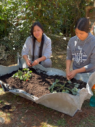Elaboración de macetera con toalla: Parte 2